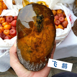 Flying goose artificial amber beeswax insect amber ornament zhenzhi cicada specimen crafts office living room insect amber tree stump picture color no. 10 trumpet ornament