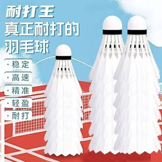 耐打羽毛球3/6/12个装 3只装 1筒 白羽