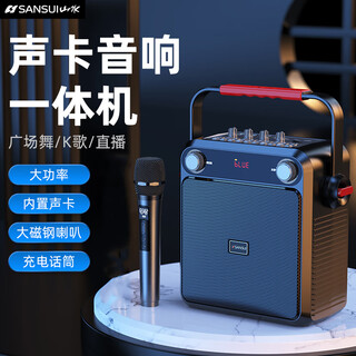 山水（SANSUI）户外k歌专用广场舞音响功放一体机手提便携移动唱歌自带声卡专业直播专用手持话筒蓝牙音箱 旗舰版【单麦】 声卡音响一体机