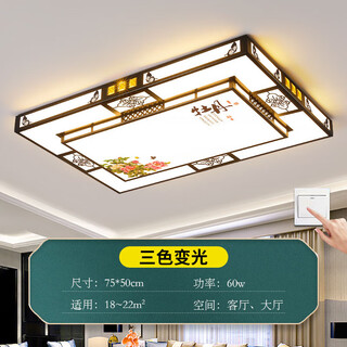 Fangfanmei 2025 new led ceiling lamp room bedroom lamp living room lamp hall modern simple atmosphere zhongshan lamp small long/75*50cm/three-color dimming 60 watts*2