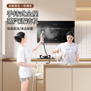 Liesa high-temperature and high-pressure steam cleaning machine household multi-functional portable all-in-one handheld whole-house kitchen range hood cleaning machine high-temperature steam cleaning machine 1 set + 10 gloves