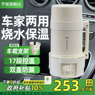 Luoya portable kettle 12v/24v/220v car water cup car home dual-use 316 stainless steel travel kettle