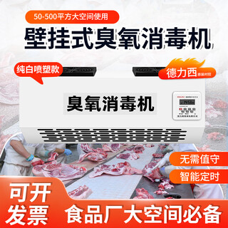 Fenrui wall-mounted delixi time-controlled ozone sterilizer food factory garbage room cold storage ozone generator sterilization and deodorization upgraded spray model - ozone sterilizer 50g/h delixi intelligent start and stop