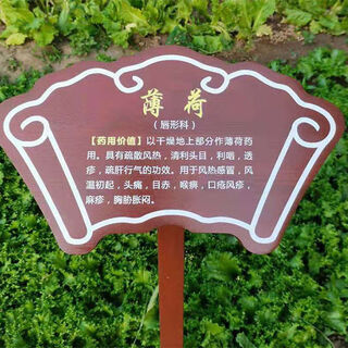 Индивидуальная антисептическая древесина, твердая древесина, китайское травяное растение, ознакомительная карточка, ознакомительная карточка, земля, торговая марка, бренд, дерево, научная карточка, панель 24 * 40, столб, толщина 80 см, 2 см