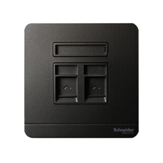 施耐德绎尚系列深空灰单联带保护门电话  超五类信息插座E8332TDRJS5_DG_C1 电话  超五类信息插座 绎尚深空灰