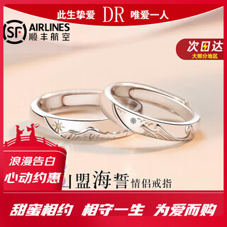 Dr everlasting oath platinum couple ring pt950 platinum pair of rings proposal valentine's day birthday gift for girlfriend everlasting oath-female ring