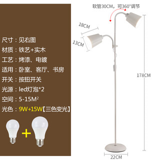 北欧客厅卧室简约网红LED现代装饰书房多功能子母立式灯钜 2201白色款15W+9W 三色变光