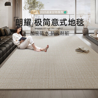 Aovoc carpet living room 2025 new no-wash wipeable light luxury high-end simple carpet mat langyao 02 2*3.4 meters