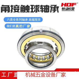 
High-speed single row four-point angular contact ball bearing QJ1248N2MA QJ1252 QJ1256 QJ1260N2MA QJ12602MA