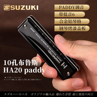 Suzuki japan suzuki imported ha20 blues ten-hole paddy tuning 10-hole harmonica advanced adult professional performance