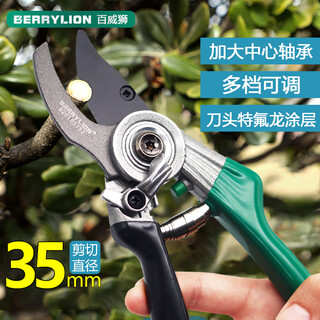 Berrylion garden shears, household branch shears, pruning shears, branch shears, fruit branch grafting shears, flower tree shears, potted plant pruning shears, gardening shears