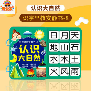 可爱家幼儿识字早教安静书宝宝启蒙粘贴书儿童魔术贴卡片玩具认字卡六一 【认识大自然】