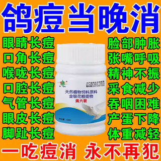 Special medicine for pigeon pox, vaccine, seed beans, water treatment and prevention, 5 bottles, essential for breeding pigeons