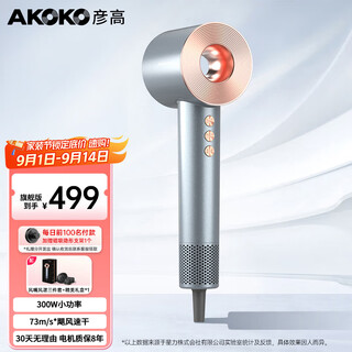 Yangao akoko yangao hair dryer for home dormitory students 800w negative ion hair care high speed low power 500w gift birthday gift for women flagship version - glacier silver (300w)