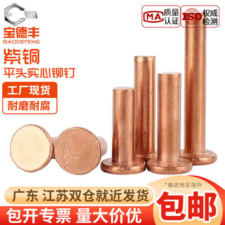 Baodefeng copper flat head solid rivet gb109 flat cap copper nail hand hammered willow nail copper nail national standard accessories m2x3 400 pieces