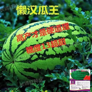 (giant watermelon seeds) high yield, sweet, early maturity, extra large lazy man king seedless four seasons sowing academy of agricultural sciences fruit watermelon seeds, extra large and super sweet lazy man king watermelon seeds, 50 capsules in original packaging