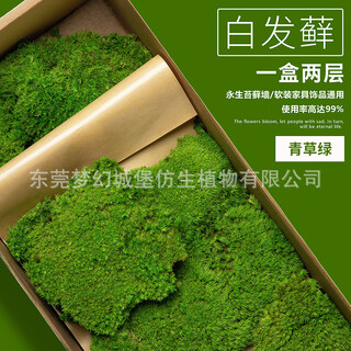 Plant boxed flower material package diy dry dried flowers real flower plant wall simulation fluffy background wall white hair moss-green grass