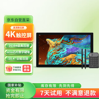 绘王（HUION）Kamvas Pro19(4K)智能数位屏 触控屏手绘屏 电脑绘图 绘画手写屏液晶数位板 出厂校色报告