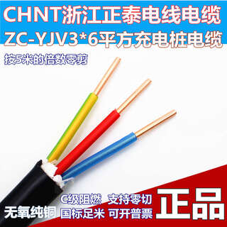 Chint (chnt) zc-yjv3x6 square zr flame-retardant copper core cable charging pile wire central air conditioning three-core power cord 5 meters