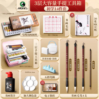 Marley chinese painting pigments beginner set tools full set of ink painting materials for primary school students meticulously painted chinese painting beginner's brush 14 pieces pink box 12 colors 5ml