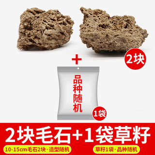 Water-absorbing stone rockery bonsai water-absorbing stone rockery bonsai natural raw stone landscaping small ornaments ornamental stone rough stone two pieces of grass seeds a pack