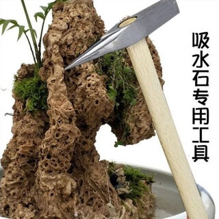 Water-absorbing stone water-absorbing rock rockery bonsai raw material rough stone special chisel landscape bonsai diy carving pick 300g chisel comes with moss + 5 varieties of grass seeds
