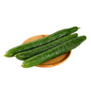 About 600g of long cucumber