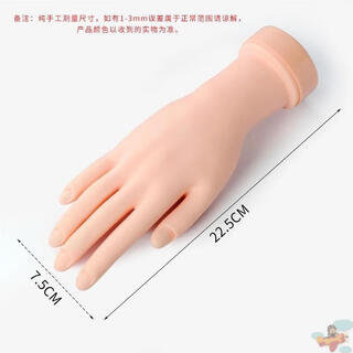 Acupuncture practice props, hand model, silicone simulated human hand model, jewelry, acupuncture prosthetic hand photo guide, can bend a small point on the right hand, official standard