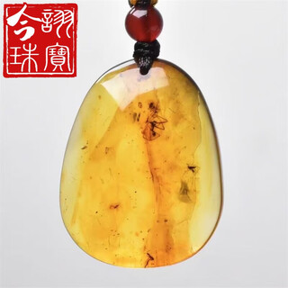 Jinxu natural amber insect amber pendant baltic sea beeswax insect pendant insect pendant 3.31g