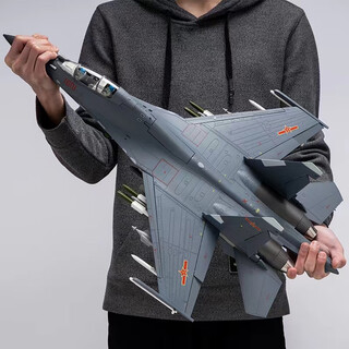 Wanre 1 48 j-16 domestic fighter alloy model static simulation military aircraft model j-16 su-30 ornaments 1 100 j-16 17cm long (speed brake can be opened)