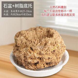 Absorbent stone flower pot, natural strange stone, absorbent stone, water-absorbing stone, raw stone stone pot, calamus succulent potted plant, bonsai micro-scape, 27-33cm stone pot + round bottom + grass seeds