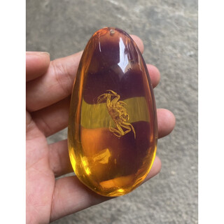 Uozawa artificial amber real insect specimen pendant, antique insect amber handle piece crab scorpion butterfly beetle pendant crab style