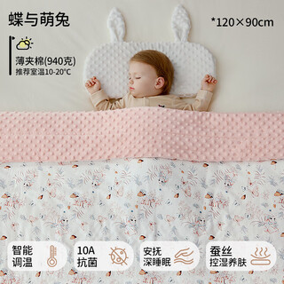 European pregnant baby beanie blanket silk baby quilt soothing newborn spring and autumn four seasons universal kindergarten blanket butterfly and cute rabbit-thin quilt room temperature 10-20 120cmx90cm