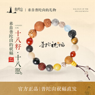 Putuo mountain authentic and authentic eighteen seed bodhi bracelet multi-treasure buddha bead bracelet 18-seed birthday gift for men and women eighteen-seed multi-treasure bracelet
