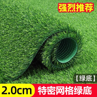 Qingya simulated lawn carpet, artificial green balcony decoration mat, artificial outdoor kindergarten plastic fake turf floor mat, 10-year warranty, 2cm special mesh (2m wide * 1m long)
