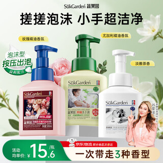 Vegetable garden fragrance hand sanitizer antibacterial 99.9% foam hand wash amino acid moisturizing 3 bottles