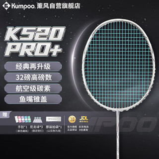 薰风（KUMPOO）羽毛球拍k520pro升级款熏风全碳素超轻均衡拍K520pro+银刃4U蓝线
