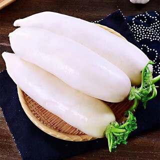 White radish, fresh in season, freshly dug, crispy, sweet and juicy, farm-grown and eaten raw, crispy, sweet and refreshing. white radish 5jin jin is equal to 0.5kg.