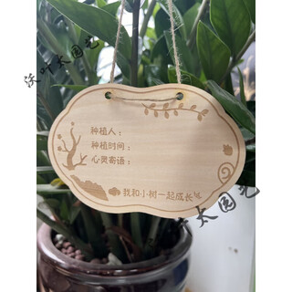 Yong huan 10 pieces of custom-made wooden hanging tags for school arbor day tags, tree adoption tags, plant tags, name cards, 10 pieces of tree planting tags