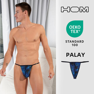 Hom french men's thong summer low-waist sexy seamless large single thong t-pants nude underwear s