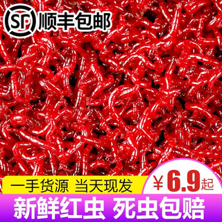 Mengda fresh red worm extra large male worm live bait feeding fish bait pulling bait crucian carp wild fishing bait fishing earthworm zhongtong extra large red worm 30g (no gifts)