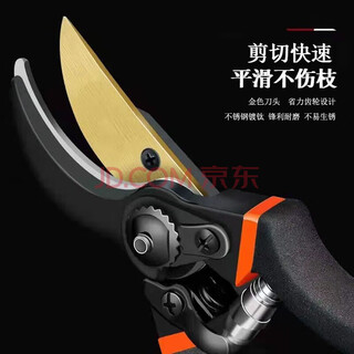Fengxi japan thickened sk5 steel branch scissors to cut thick branches garden scissors pruning fruit trees pruning mulberry pruning shears pruning shears
