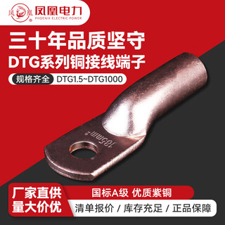 凤凰DTG管压铜鼻子国标紫铜16/25/35/50/70平方线耳电缆接线端子包邮 DTG-6-5-酸洗 (20只/包）