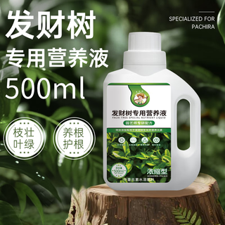 Jinyate special nutrient solution for money tree plants, leaves turn yellow and fall off, green plant potted flower fertilizer 500ml