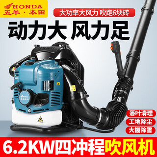 Wuyang four-stroke backpack greenhouse fallen leaf construction site high-power gasoline snow blower industrial road portable dust blower four-stroke backpack 9900
