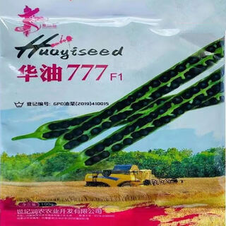 Huayou 999 гибрид рапса высокоурожайный низкостебельный морозостойкий полеганию раннеспелый рапс с высокой маслоотдачей huayou 777 оригинальный 100г/черный семя