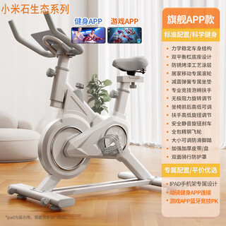Xiaomi shi spinning bike indoor ultra-quiet gym bike exercise bike home fitness equipment all-inclusive safety flywheel (flagship app model)