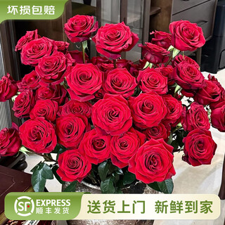 Flores de yunnan, venta al por mayor, flores frescas cortadas de lirio rosa de calidad cultivadas en agua para el regalo de cumpleaños de la novia, directamente de la fuente, rosas rojas - 20 piezas (varias variedades), elija 2 piezas sin cargo