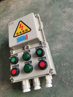 Bqc explosion-proof magnetic starter bqd53-2-way motor explosion-proof control box explosion-proof switch 10a-63a bqc-10a 10a 220v