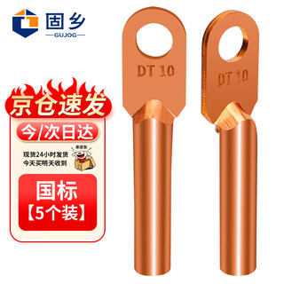 固乡 DT铜鼻子 线鼻子 冷压接线端子 铜线耳 紫铜接线电缆接线头 接线鼻 国标 A级 10平方 单孔5个装